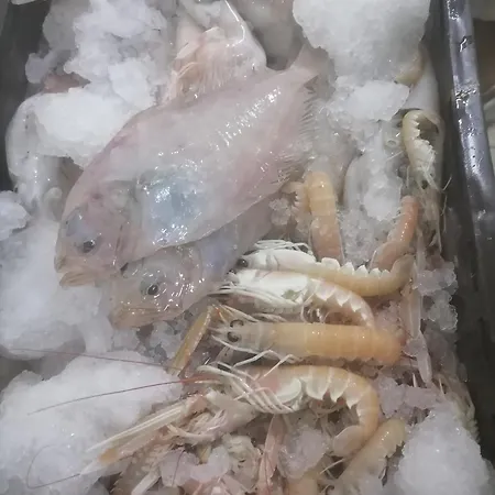 Bed & Breakfast Boutique Marijini Dvori Tribalj