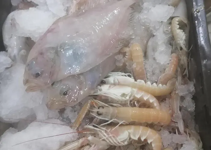 Alojamento de Acomodação e Pequeno-almoço Boutique Marijini Dvori Tribalj