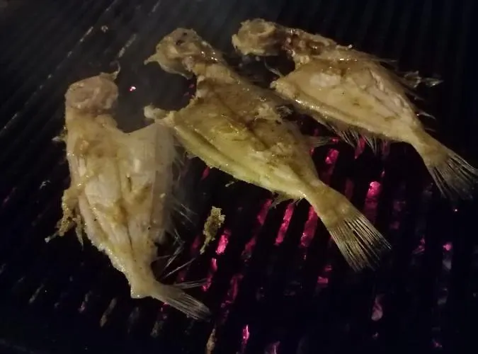 Boutique Marijini Dvori Tribalj